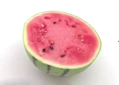 吃瓜吃不了怎么保存,教你如何保存美味，避免浪费